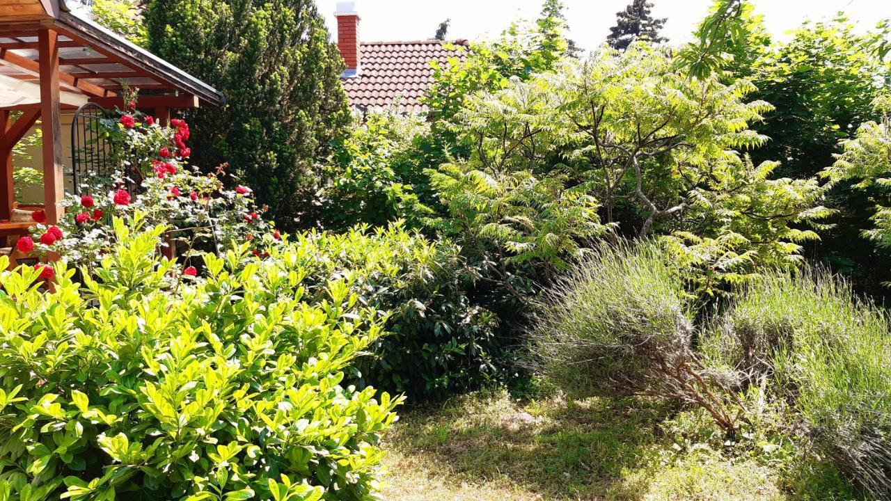 Szalakota Haz Villa Balatongyörök Eksteriør bilde